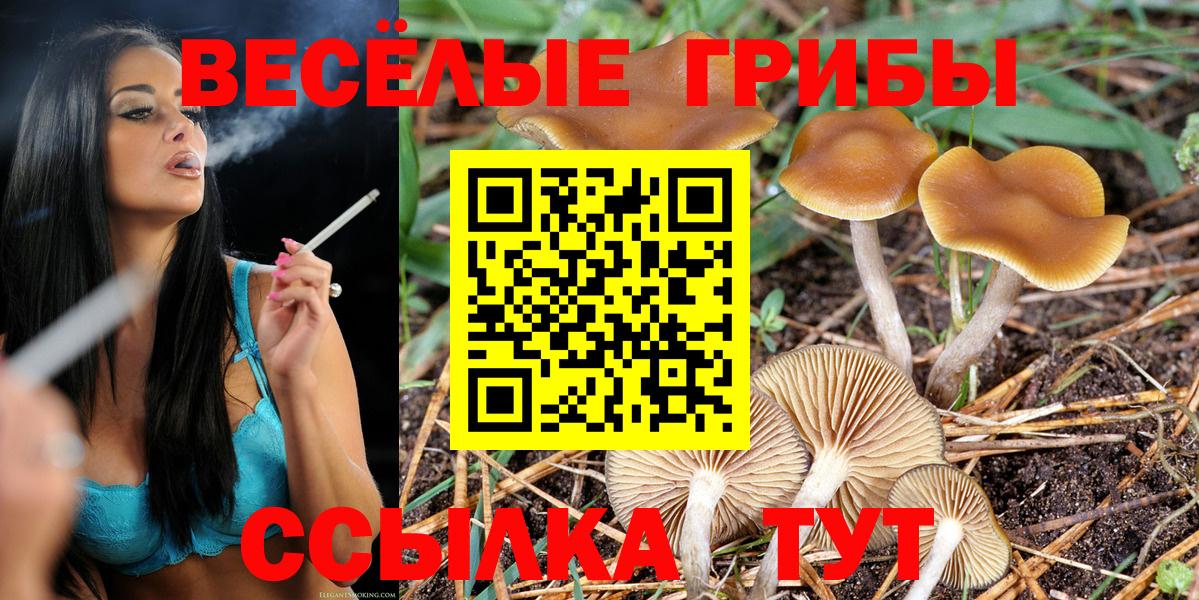 Урай  Псилоцибиновые грибы Cubensis  Вход с VPN 