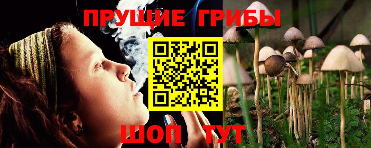 Галлюциногенные грибы Cubensis Урай